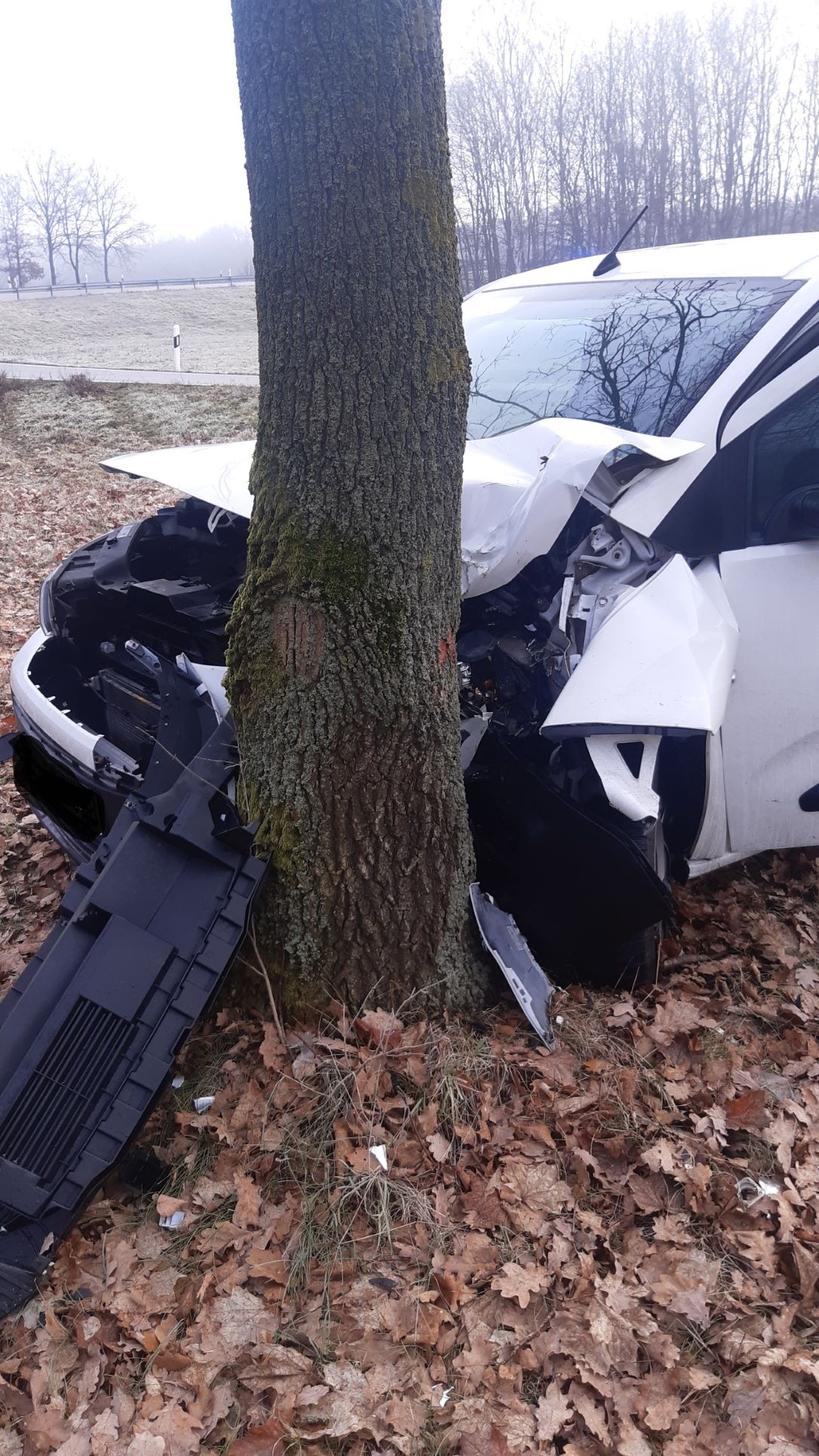 20230213_091731_resized bearbeitet groß.jpg